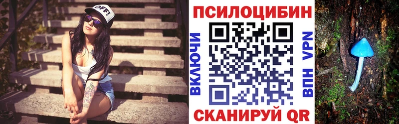 omg   Соликамск  Галлюциногенные грибы Psilocybine cubensis 
