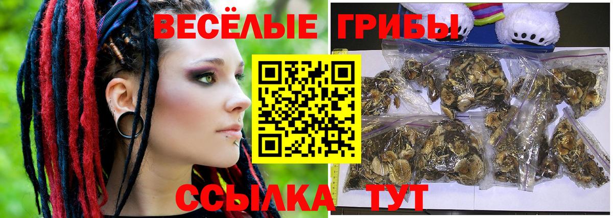 Псилоцибиновые грибы GOLDEN TEACHER  Галлюциногенные грибы ЛСД  Соликамск  Вход с VPN 